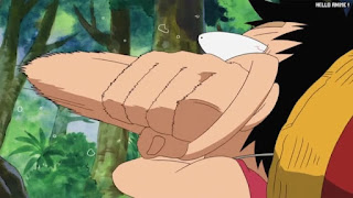 ワンピースアニメ 504話 幼少期 ルフィ かわいい Monkey D. Luffy | ONE PIECE Episode 504 ASL