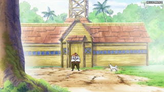 ワンピースアニメ 497話 幼少期 | ONE PIECE Episode 497 ASL