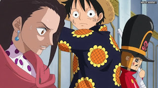 ワンピースアニメ ドレスローザ編 674話 ルフィ ヴィオラ キュロス | ONE PIECE Episode 674