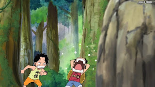 ワンピースアニメ 504話 幼少期 エース ルフィ かわいい ACE LUFFY | ONE PIECE Episode 504 ASL