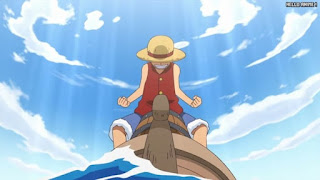 ワンピースアニメ 504話 ルフィ Monkey D. Luffy | ONE PIECE Episode 504