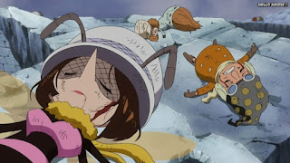 ワンピースアニメ ドレスローザ編 674話 ビアン | ONE PIECE Episode 674