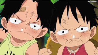 ワンピースアニメ 504話 幼少期 エース ルフィ かわいい ACE LUFFY | ONE PIECE Episode 504 ASL