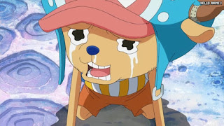 ワンピースアニメ 魚人島編 573話 チョッパー かわいい Tony Tony Chopper | ONE PIECE Episode 573