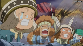 ワンピースアニメ ドレスローザ編 674話 小人族 Dwarves トンタッタ Tontatta | ONE PIECE Episode 674