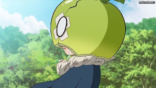 ドクターストーンアニメ 1期11話 スイカ 眼鏡 ボヤボヤ病 Dr. STONE Episode 11