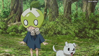 ドクターストーンアニメ 1期18話 スイカ Dr. STONE Episode 18