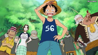 ワンピースアニメ 504話 ルフィ Monkey D. Luffy | ONE PIECE Episode 504