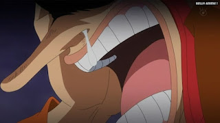 ワンピースアニメ ドレスローザ編 674話 ウソップ ウソランド Usopp | ONE PIECE Episode 674