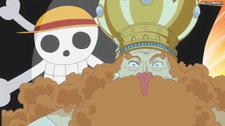 ワンピースアニメ 魚人島編 572話 麦わらの一味海賊旗 ネプチューン | ONE PIECE Episode 572