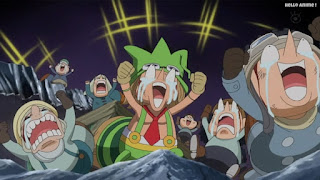 ワンピースアニメ ドレスローザ編 674話 小人族 Dwarves トンタッタ Tontatta | ONE PIECE Episode 674