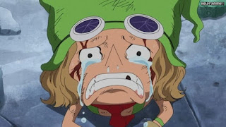 ワンピースアニメ ドレスローザ編 674話 レオ | ONE PIECE Episode 674