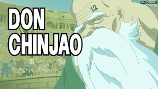 ワンピースアニメ ドレスローザ編 642話 Cブロック ドンチンジャオ | ONE PIECE Episode 642