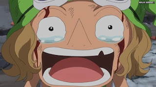 ワンピースアニメ ドレスローザ編 674話 レオ 小人族 Dwarves トンタッタ Tontatta | ONE PIECE Episode 674