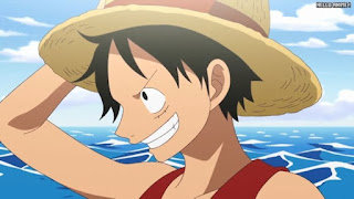 ワンピースアニメ 504話 ルフィ Monkey D. Luffy | ONE PIECE Episode 504