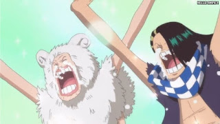 ワンピースアニメ 512話 モージ Mohji カバジ Cabaji  | ONE PIECE Episode 512