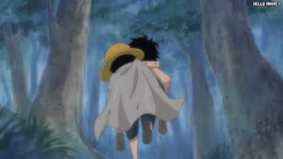 ワンピースアニメ 504話 幼少期 エース ルフィ ACE LUFFY | ONE PIECE Episode 504 ASL