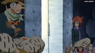 ワンピースアニメ ドレスローザ編 671話 ウソップ ニコロビン | ONE PIECE Episode 671