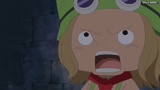 ワンピースアニメ ドレスローザ編 671話 レオ | ONE PIECE Episode 671