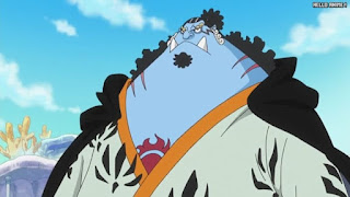 ワンピースアニメ 魚人島編 573話 ジンベエ | ONE PIECE Episode 573