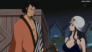 ワンピースアニメ ドレスローザ編 681話 錦えもん ロビン | ONE PIECE Episode 681