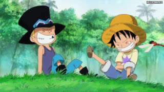 ワンピースアニメ 497話 幼少期 エース サボ ルフィ ACE LUFFY SABO | ONE PIECE Episode 497 ASL