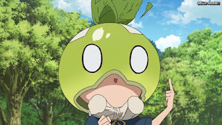 ドクターストーンアニメ 1期18話 スイカ Dr. STONE Episode 18