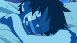 ワンピースアニメ 497話 幼少期 ルフィ Monkey D. Luffy | ONE PIECE Episode 497 ASL