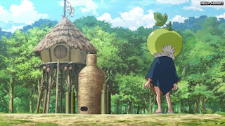 ドクターストーンアニメ 1期11話 スイカ 眼鏡 ボヤボヤ病 Dr. STONE Episode 11