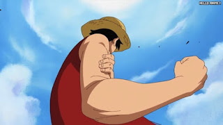 ワンピースアニメ 504話 ルフィ Monkey D. Luffy | ONE PIECE Episode 504