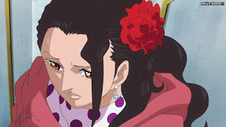 ワンピースアニメ ドレスローザ編 674話 ヴィオラ | ONE PIECE Episode 674