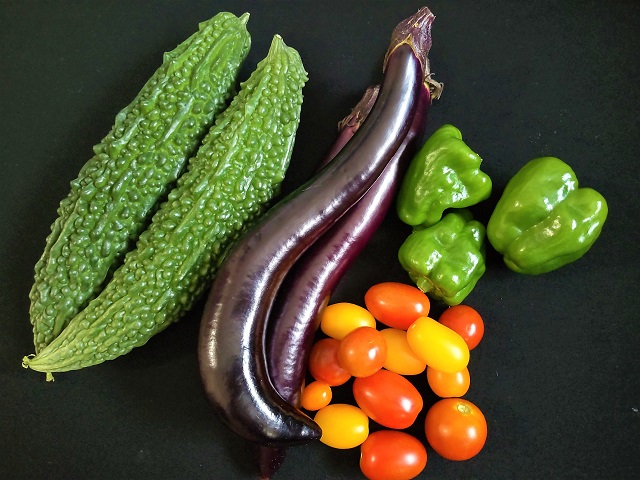 家庭菜園　夏野菜