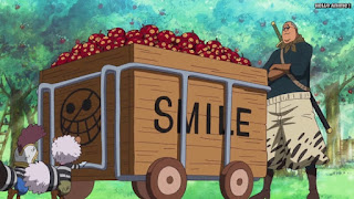 ワンピースアニメ ドレスローザ編 671話 スマイル | ONE PIECE Episode 671