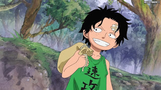 ワンピースアニメ 497話 エース 幼少期 | ONE PIECE Episode 497 ASL