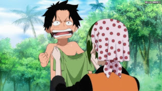 ワンピースアニメ 497話 マキノ エース 幼少期 | ONE PIECE Episode 497 ASL