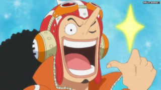 ワンピースアニメ ドレスローザ編 674話 ウソップ ウソランド Usopp | ONE PIECE Episode 674