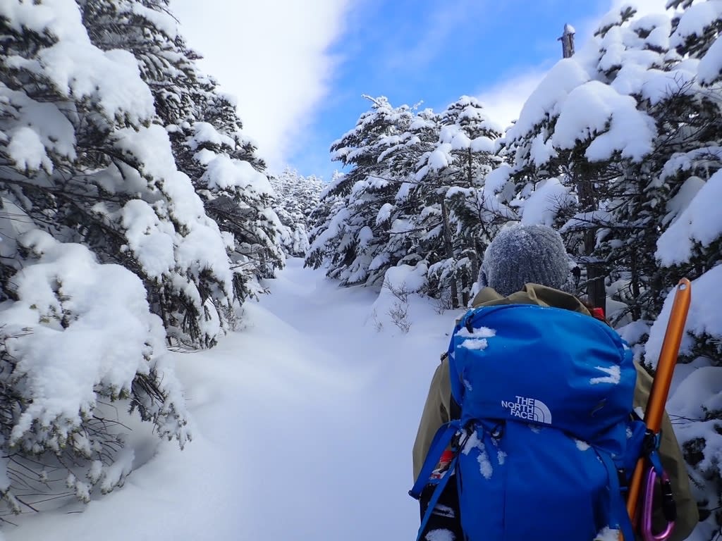 天狗岳撤退💦 - 登山とえとせとら