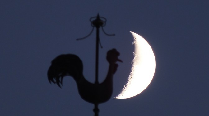 19 septembre : le coq regarde le croissant de Lune