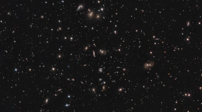 Abell 2151, un jeune amas de galaxies dans Hercule