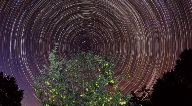 Le ciel étoilé a tourné autour d’un pommier