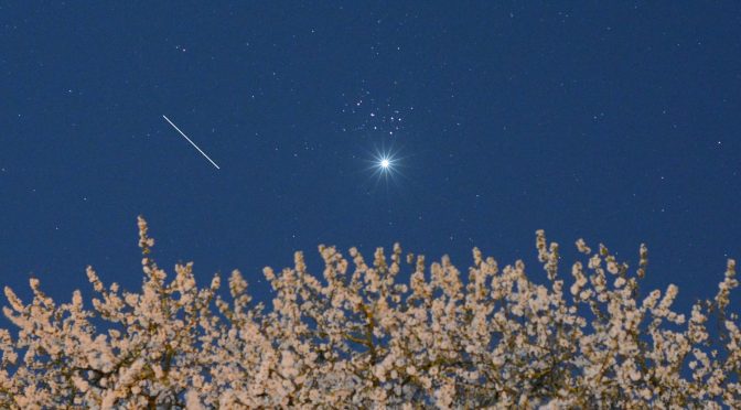 L’ISS, Vénus et les Pléiades au-dessus du cerisier en fleurs