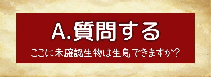 クリプティッドの手番でできること：質問する