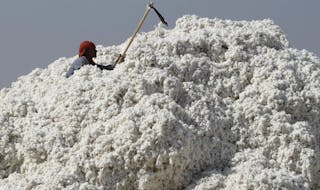 India Cotton