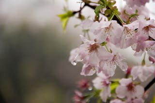 流感即將成為新世紀病毒？不要小看空氣傳染的殺傷力！