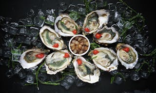 oysters-1209767_1280