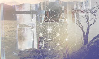 Double exposure art. Woman in meditation sitting in front of window with overlapping landscape with a tree and sacred geometry i