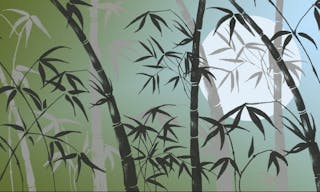 Branches of a bamboo on a background of light of the moon — Photo by aelita