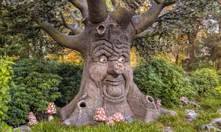 Talking tree with happy face as a concept for environmental awareness