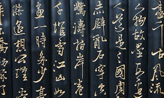 chinese world write on black bamboo