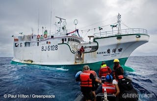 Greenpeace Ship Busts Illegal Tuna Fishing Operation on the Pacific High Sea